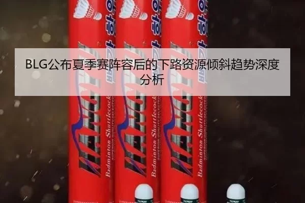 BLG公布夏季赛阵容后的下路资源倾斜趋势深度分析